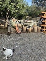 Nu met katten op de foto