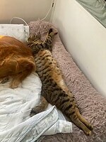 lekker chill