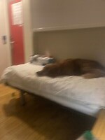 Maar B&B liggen lekjer