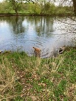 Betty in de Fulda een echte zeehond