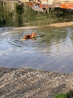 Een meertje in Slovenie