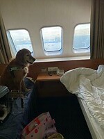 Betty kijkt ook op de volgende boot
