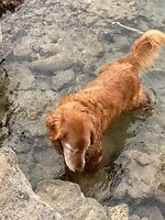 Betty aan het vissen in de heldere wter