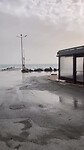 Bakker/haven