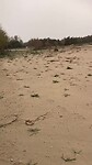 Zo hoog kwam het water