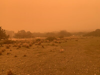 Oranje lucht stof