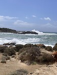 IMG_6344