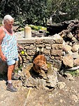 Oude griekse/romeinse fontein met hond