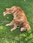 Betty ook helemaal relaxed op de camping