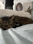 Hela maal relaxed in zijn vertrouwde huisje