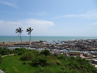 DSC00596