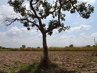 DSC01117