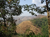 DSC01619