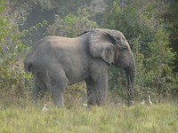 DSC01752