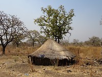 DSC02058