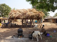 DSC02062