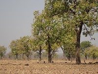 DSC02091