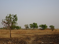 DSC02242