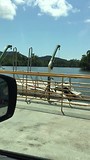 Met het pondje de Daintree River oversteken