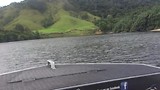 Op de Daintree River