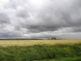Onweerswolken boven graanveld