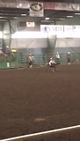 Echte cowboys te werk