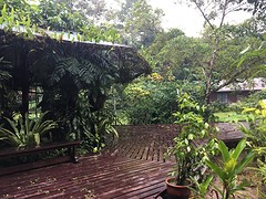 IMG_4124
