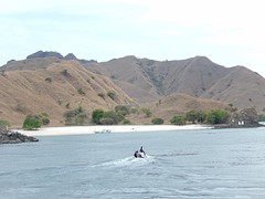 IMG_4117
