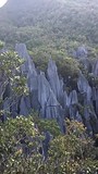 Pinnacles 7