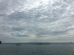 IMG_4243