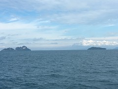 IMG_4247