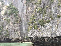 IMG_4375
