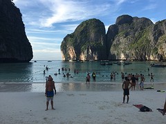 IMG_4390
