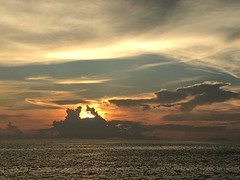 IMG_4395