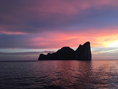 IMG_4413