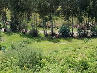20180504_123013