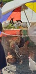 IMG-20180505-WA0032