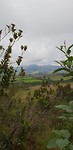 IMG-20180505-WA0009