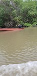 IMG-20180515-WA0004