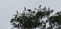 IMG-20180515-WA0003