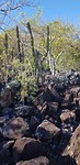 20180515_164645