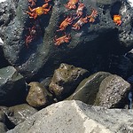 IMG_20180515_235316_383