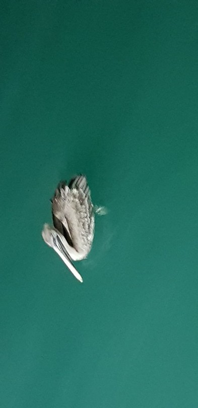 20180515_230402