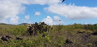 20180516_153642