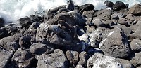 20180516_154059