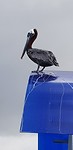 20180516_174133