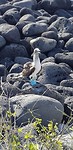 20180516_160309