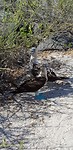 20180516_160242