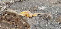 20180517_155219