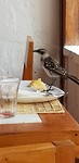 20180519_083731